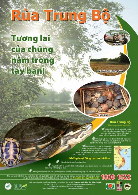 COPYMa_poster_7Jul10