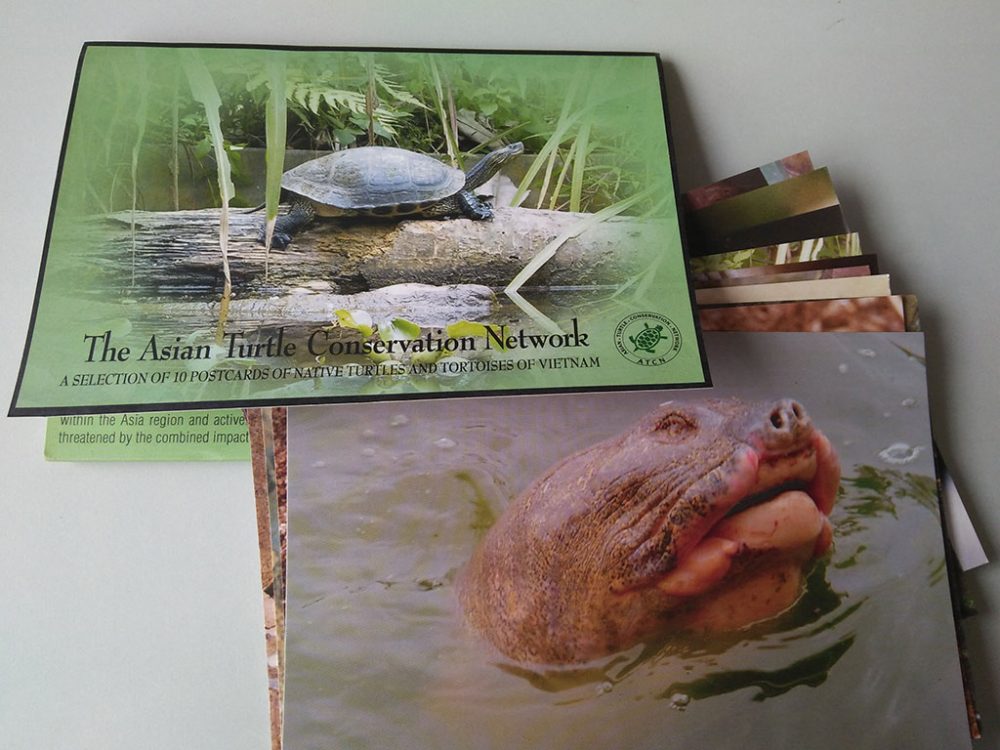 Asian Turtle Conservation Network Postcard Set - Image 3