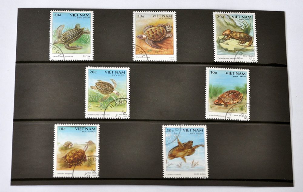 Turtle Stamp Set