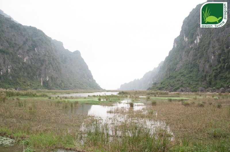 {:en}Looking for release opportunities for turtles in Van Long Wetland Nature Reserve, Vietnam{:}{:vi}Tìm kiếm cơ hội tái thả rùa tại Khu Bảo tồn đất ngập nước Vân Long, Việt Nam{:}