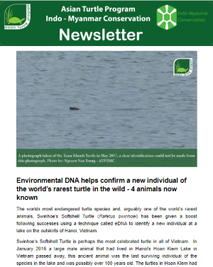 2018-04-new_Rafetus_swinhoei