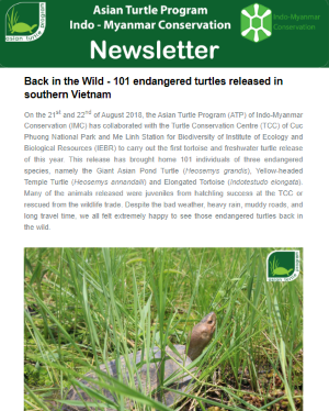 2018-08-release_101_turtles