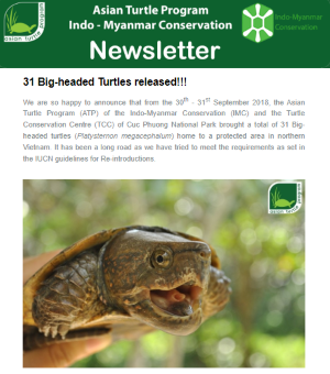 2018-10-release_big_headed_turtles