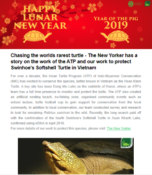 2019-01-happy_new_year