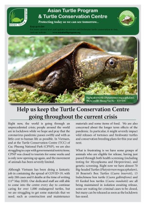 2020-05 TCC call web EN 15May20