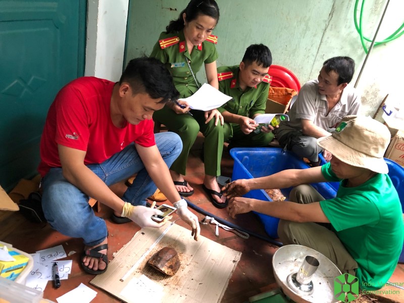 Turtle rescue in Dak Lak confiscation, Buon Ma Thuot, Đắk Lắk Province