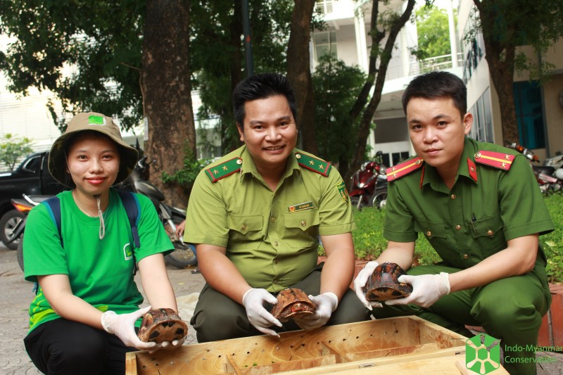 turtle confiscation in Ha Tinh province
