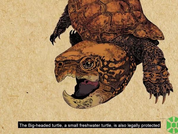 2020-11 BHT video snapshot EN (2)wtmk