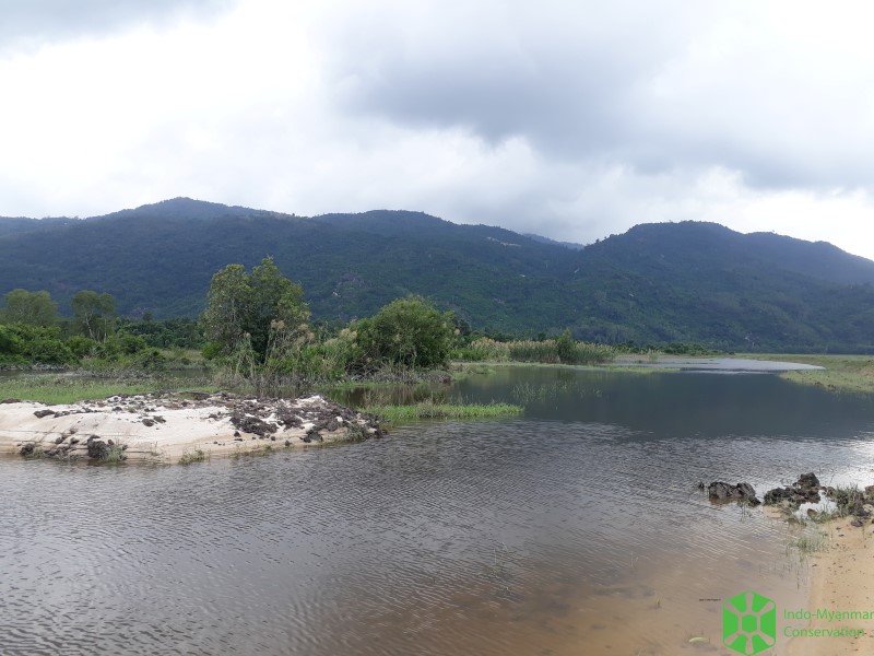 habitat in Phu Yen NTThang (4)
