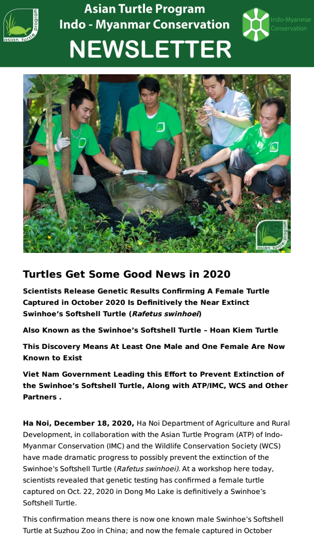 newsletter Dec20 female Rafetus